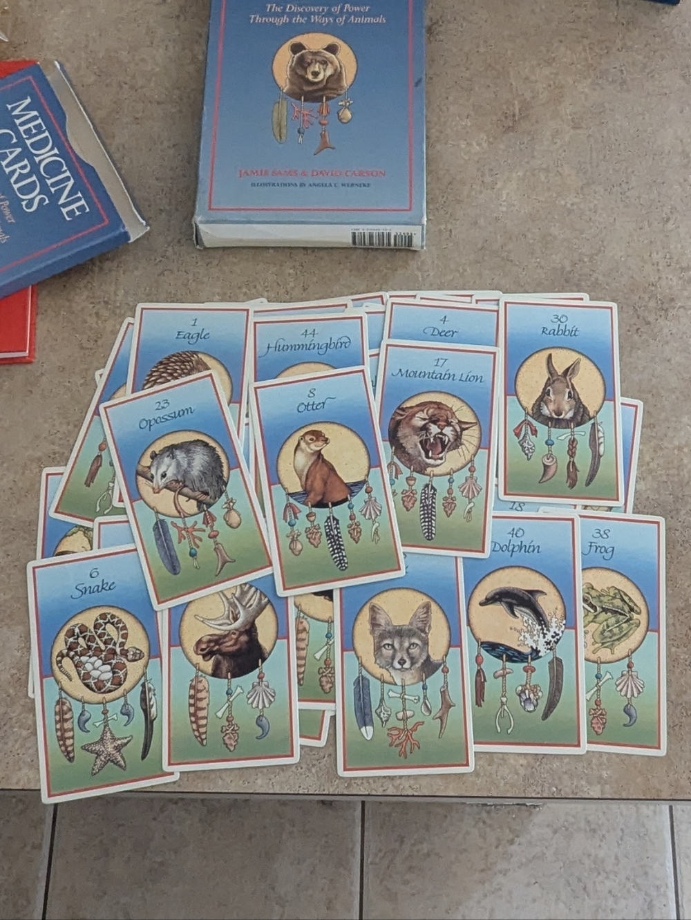 Medicine Cards Deck by Jamie Sams & David Carson - Picture 7 of 8
